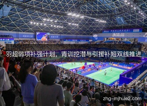 羽超弱项补强计划,青训挖潜与引援补短双线推进 羽超弱项补强计划,青训挖潜与引援补短双线推进